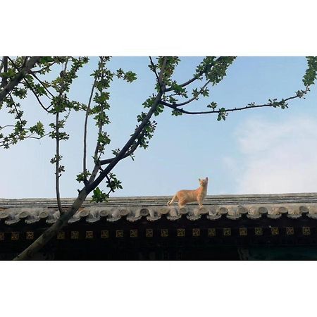 Beijing Fly By Knight Courtyard Hotel Exterior photo