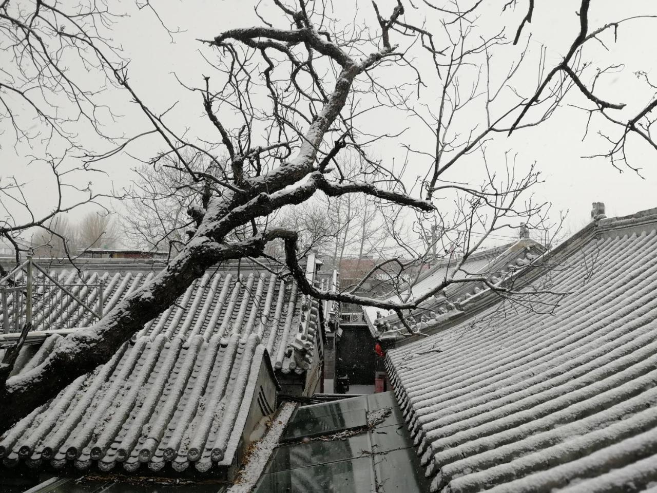 Beijing Fly By Knight Courtyard Hotel Exterior photo